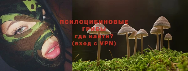 прущие грибы Белокуриха