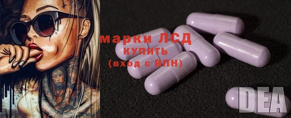 индика Беломорск
