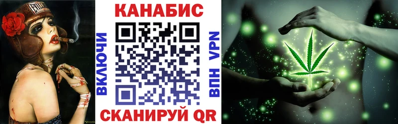 Конопля гибрид  Светогорск 